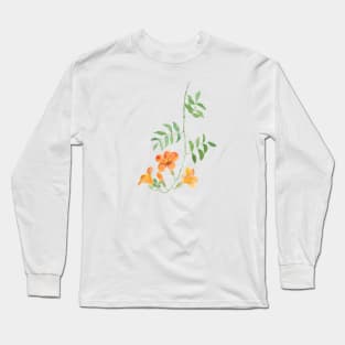 orange trumpet vine campsis radican flowers Long Sleeve T-Shirt